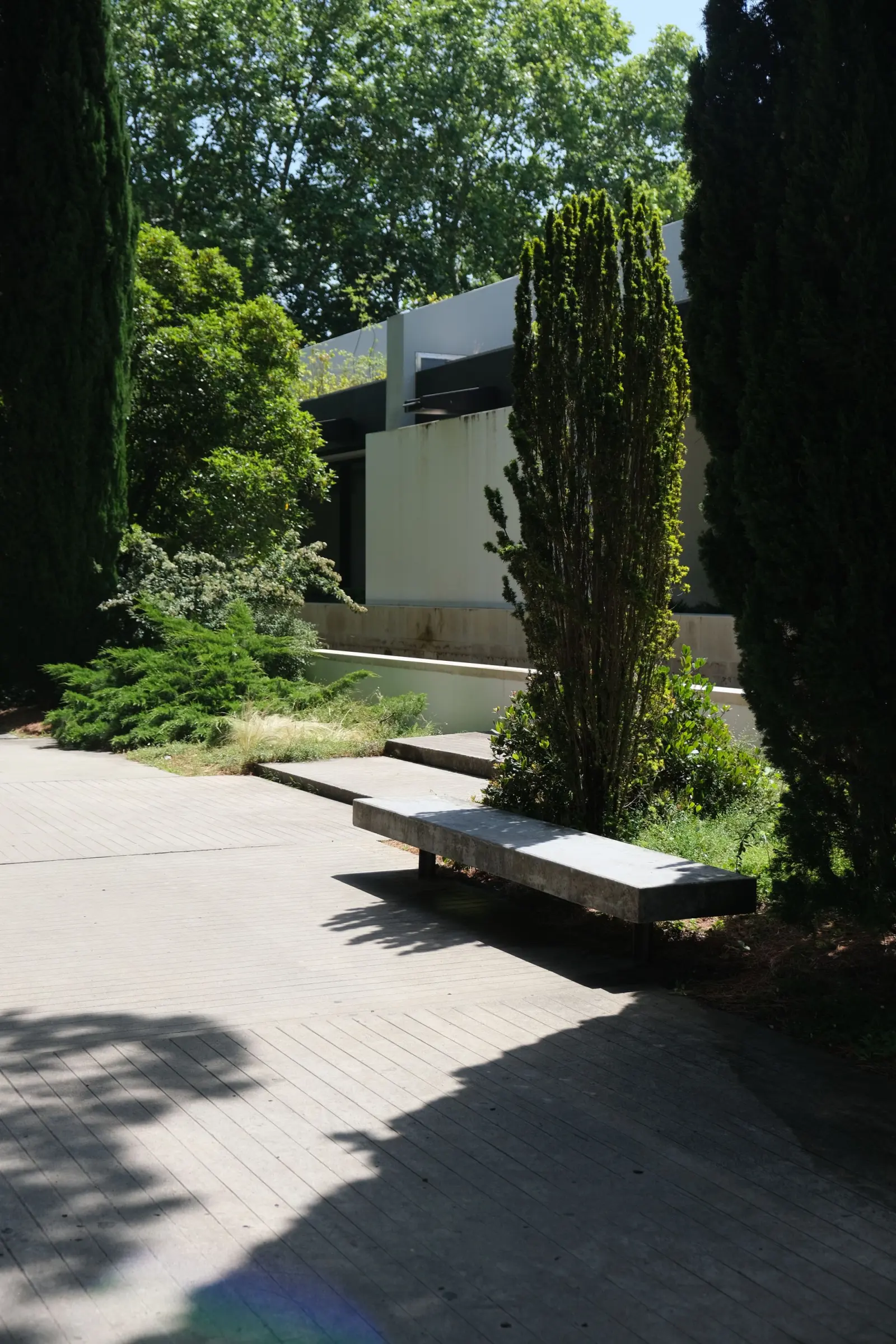 Modern landscaped pathway with architectural elements
