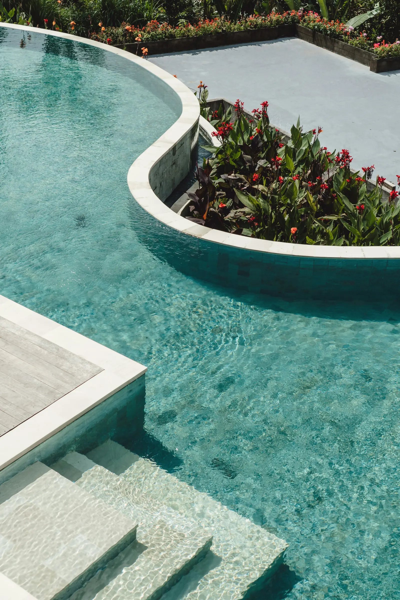 Lush planting around a contemporary pool
