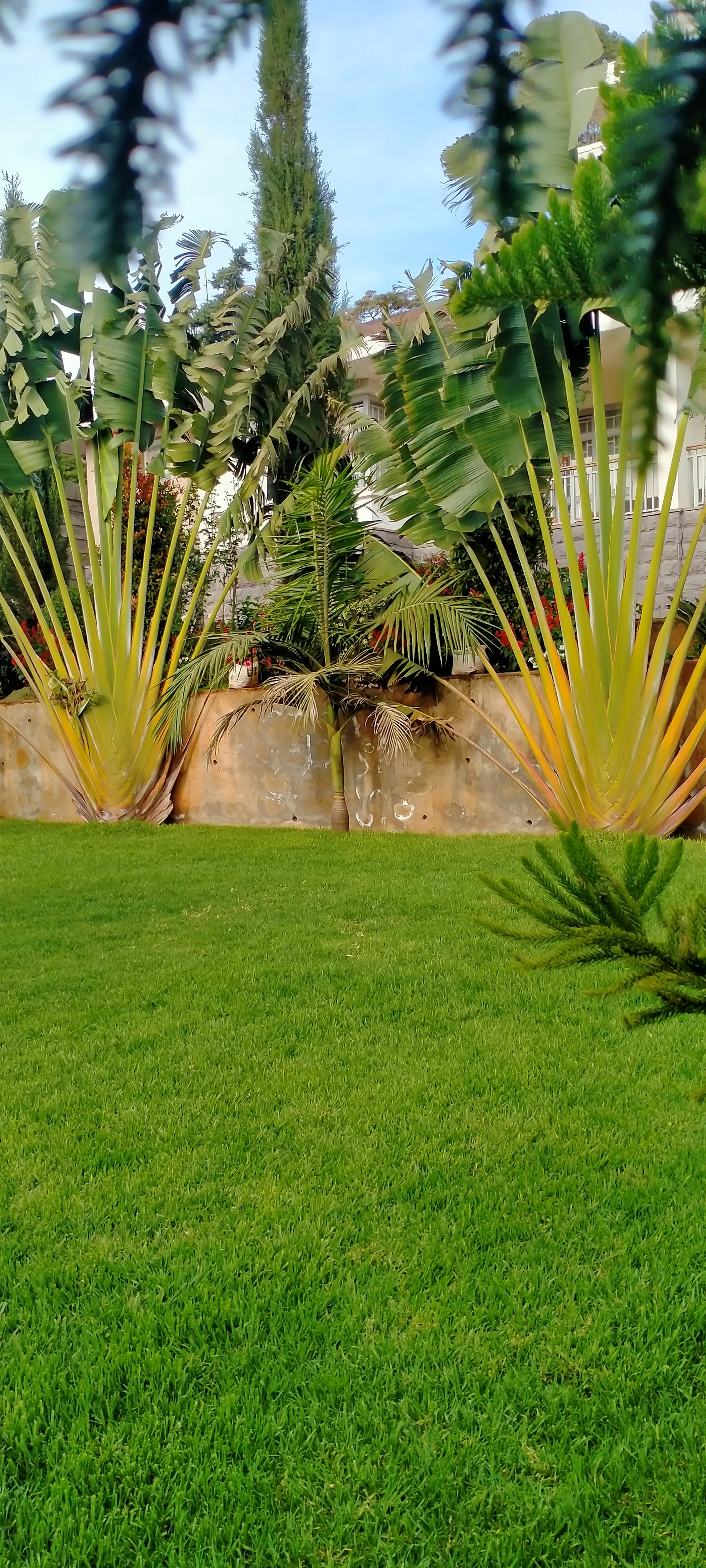 Smart Irrigation Systems