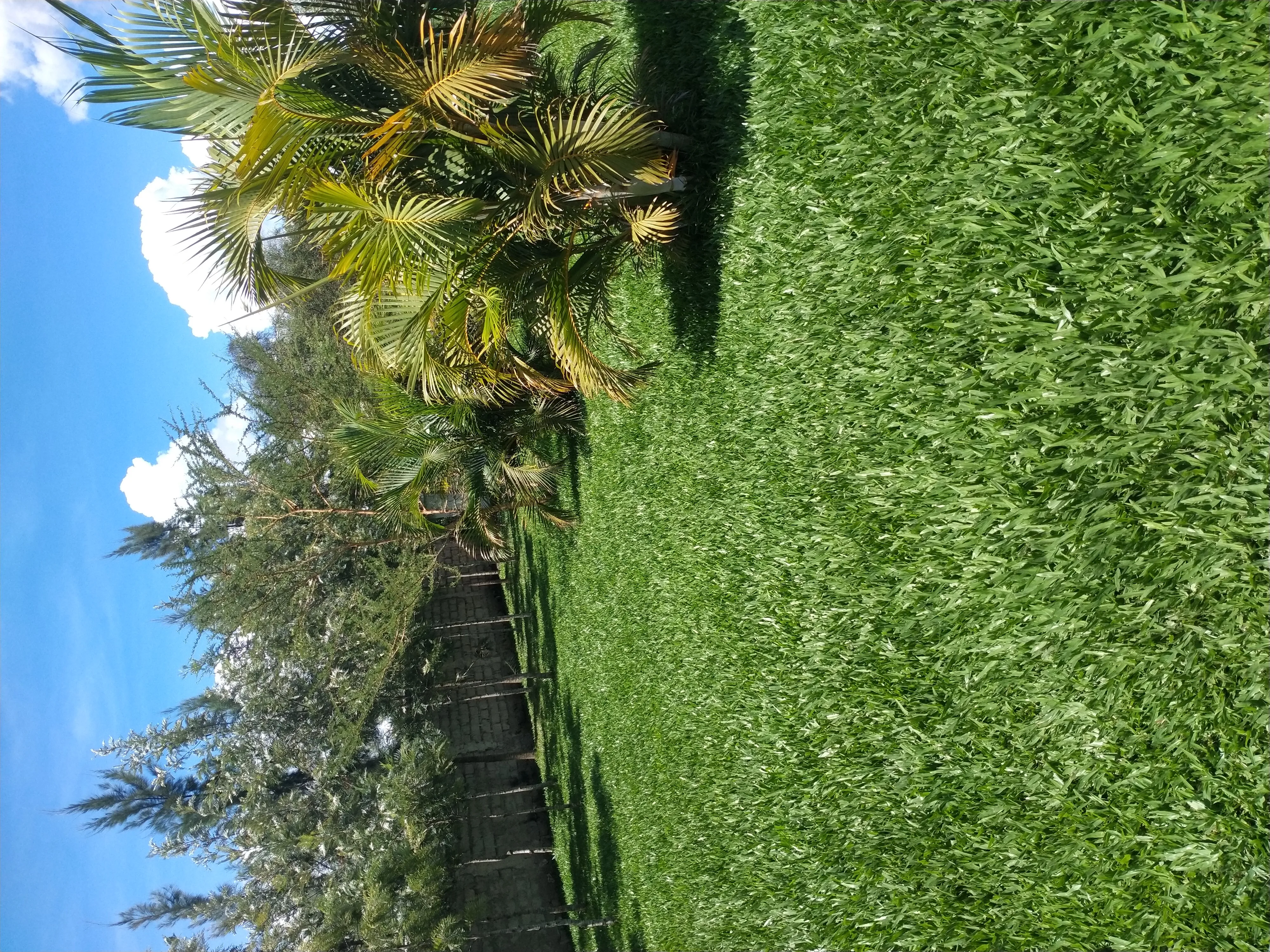  residential estate landscape in katumani